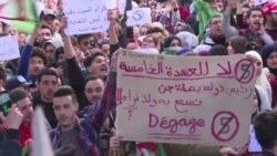 Отставка президента Алжира и реакция жителей страны