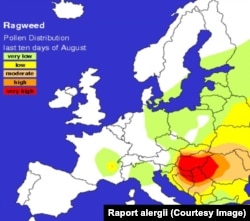 Harta ambroziei în Europa în august