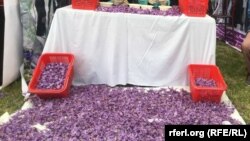 آرشیف، چهامین چشنواره زعفران در هرات 