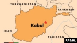 گروه شورشی طالبان می گوید که صدها بمبگذار انتحاری را تعليم داده است.