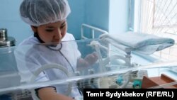Окуяга тиешеси жок сүрөт.