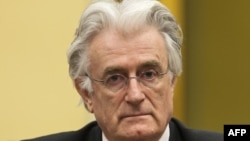 Radovan Karadžić u sudnici, foto iz arhive