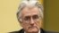 Radovan Karadžić u sudnici, foto iz arhive