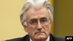 Radovan Karadžić u Hagu