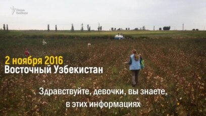 В попытках скрыть рабский труд