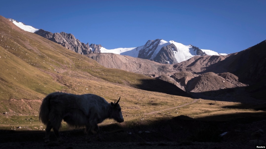 Томпақ қызбен тамаша секс
