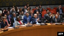Амбасадорот на САД во Обединетите нации Линда Томас-Гринфилд, амбасадорката на Обединетото Кралство во ОН Барбара Вудворд, амбасадорот на Алжир во ОН Амар Бендјама и кинескиот амбасадор во ОН Џанг Џун аплаудираа за време на Советот за безбедност на Обединетите нации