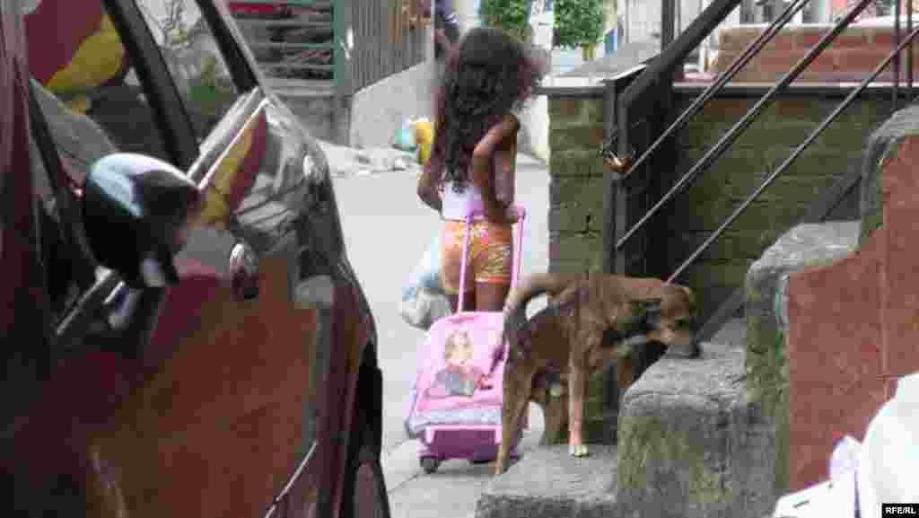 Paraisapolis Community Program #45