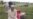 Pakistan Forces Bomb Taliban In Swat After PM Speech