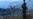 Police Find 40 Migrants In Van In North Macedonia