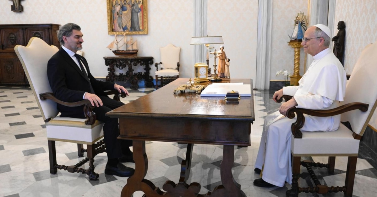 რომის პაპ ლეო XIV-ს შევხვდი და საქართველოში მოვიწვიე - ყაველაშვილი