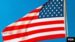 د امریکا ملي بیرغ