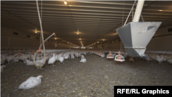 სააპელაციო სასამართლომ „რძისა და სკინტლის სკანდალთან“ დაკავშირებულ საქმეზე გადაწყვეტილება გამოიტანა.