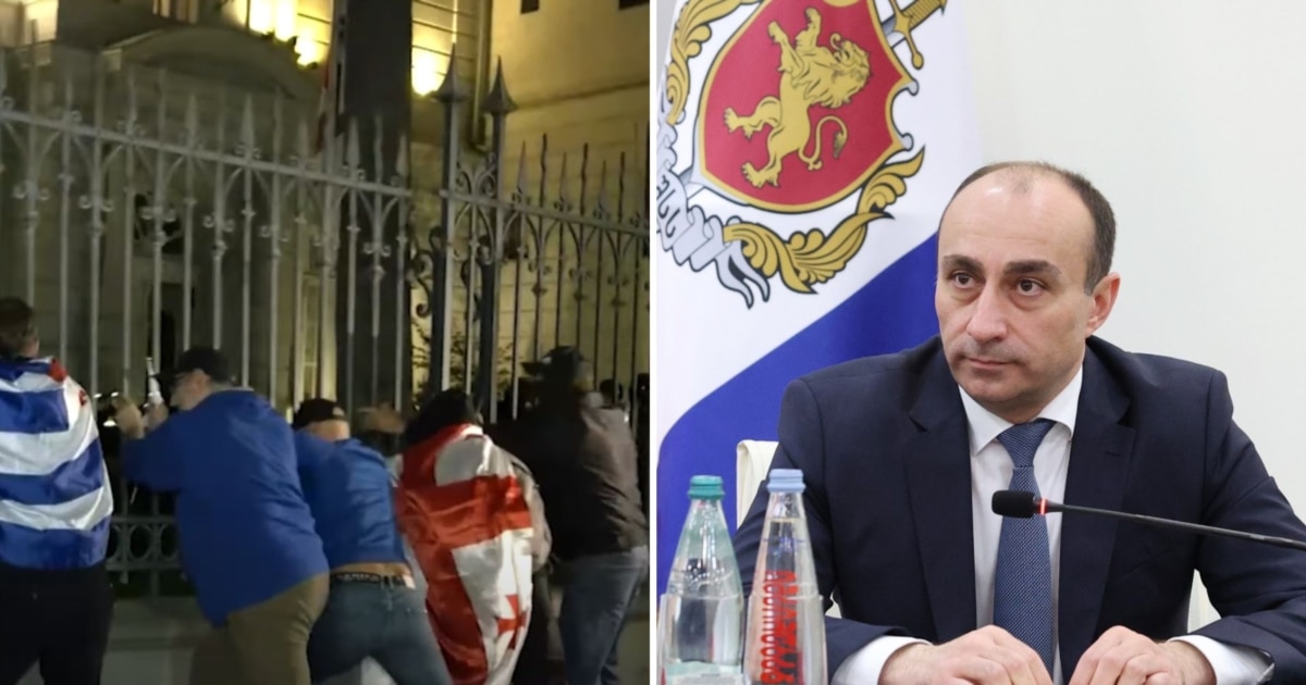 პრეზიდენტის სასახლის ღობეს ექსპერტიზა ჩაუტარდა, ჭრის კვალი არ დადასტურდა - გელა გელაძე