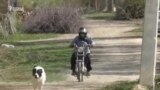 Мотоциклчен ветеринар аял