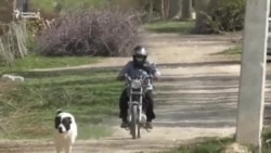 Мотоциклчен ветеринар аял
