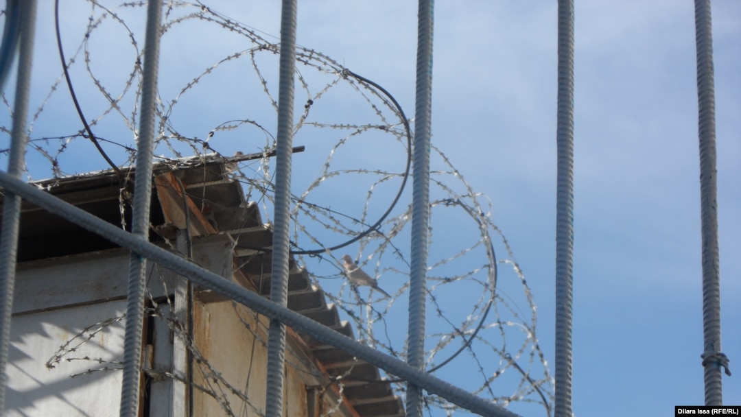 Ол оның бетіне отырды және аузына сидиді.