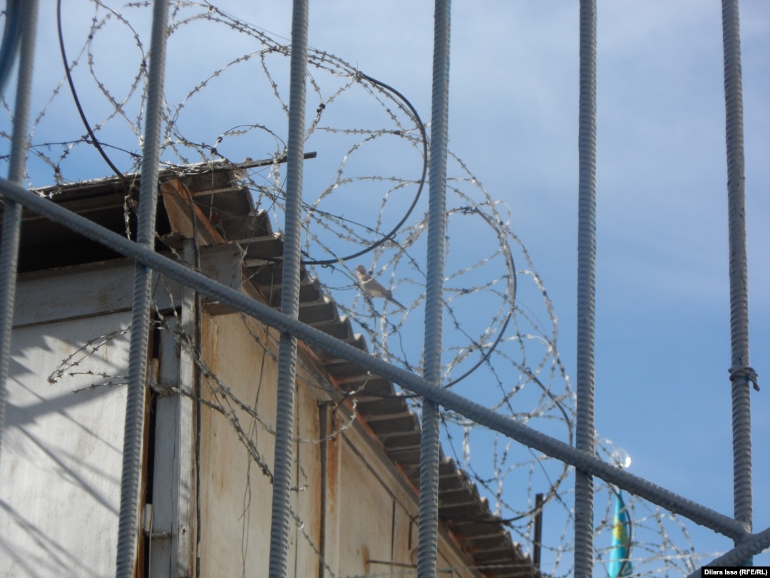 Қолтық арасындағы порно секс