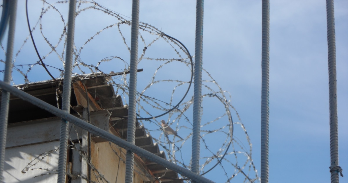 Порно орыс жігіті сүйіктісін сатты