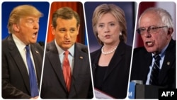 Участники гонки за номинацию кандидатом в президенты США: Дональд Трамп, Тед Круз, Хиллари Клинтон и Берни Сандерс (слева направо).