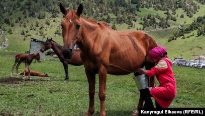 Тиффани порно моделін қараңыз