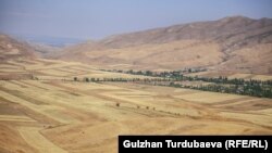 Чүй өрөөнү.