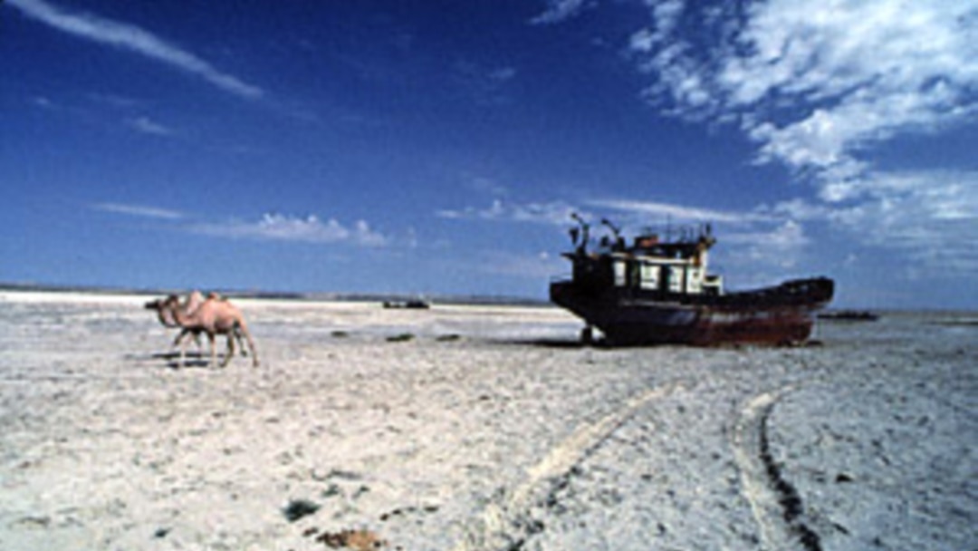 Еркектер қоғамдық көлікте порнографиямен айналысады