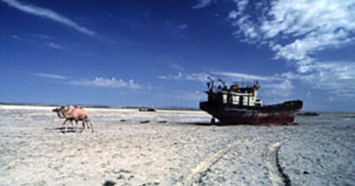 Жалаңаш әйелдің кискасының фотосы