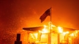 Palisades Fire burns during a windstorm on the west side of Los Angeles