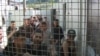 Migrant Influx Brings 'Humanitarian Crisis' To Croatia-Bosnia Border