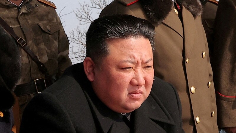 Северная Корея заявила об испытании дрона для создания "радиоактивного цунами"