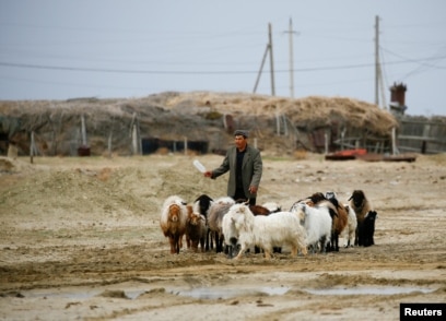 Қыздар дәретхананың тесігінен сорып жатыр видео Узбекча зурлаш секс порно