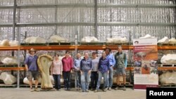 Terenski istraživački tim pozira sa 3D rekonstrukcijom nadlaktične kosti i ostalih kostiju dinosaura, nove vrste otkrivene u Queenslandu i prepoznate kao najveće ikad pronađene u Australiji, 8. juna 2021. u Eromangi
