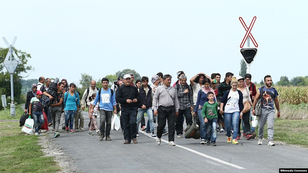 Migranti