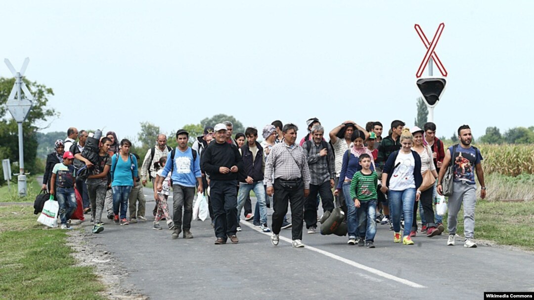 Migranti, 2016.