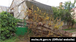 Поваленное ветром дерево на улице в Симферополе, архивное фото