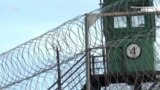 Осужденные жалуются на пытки в тюрьме