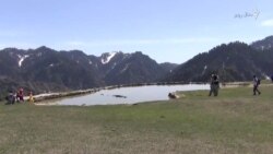 د سوات سریشا دره کې ښایستونه راټول دي