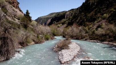 Функциясы бар дилдо