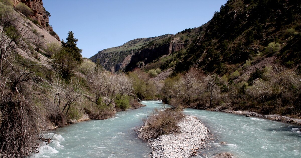 Юлия Михалкова жынданып жатыр Жалау туралы видео