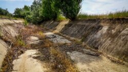Рыба без воды: предприятие Крыма подало в суд на Украину | Радио Крым.Реалии