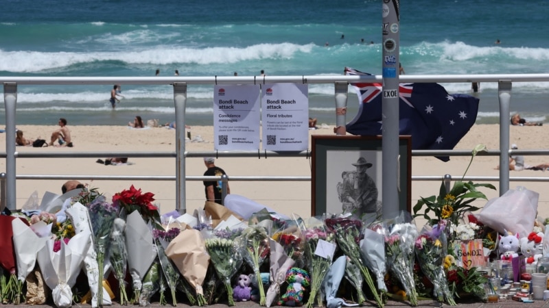 I dyshuari për sulmin në plazhin australian akuzohet për 59 vepra penale