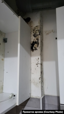 Мувла и влага во нови згради