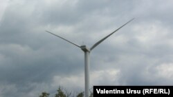 Один из источников возобновляемой энергии - ветер