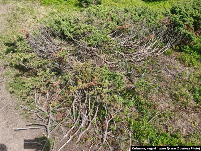 Гора Петрос