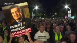 Duško Knežević: Đukanović će odgovarati