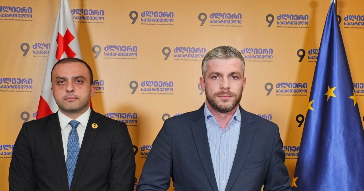 „ძლიერი საქართველო - ლელო“ საკონსტიტუციო სარჩელს შეიტანს პარტიების ასაკრძალ კანონზე