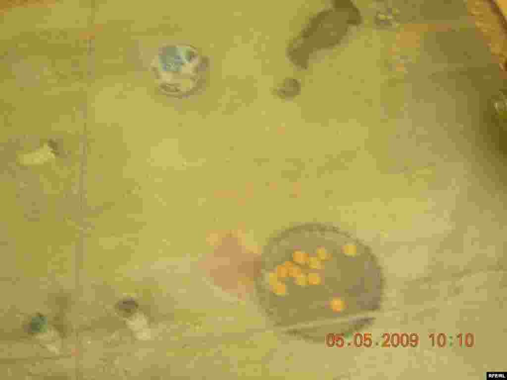 Тангаҳои тилоии давраи Сомониён #3