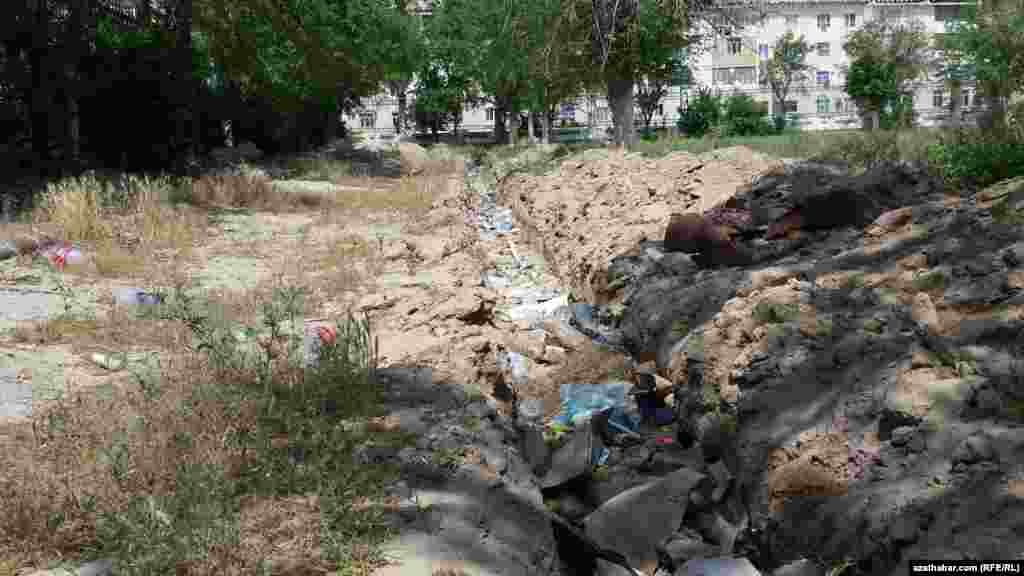 Hapa-hupalar wagtynda ýygnalyp aýrylmaýar, gümlüp galýar. Balkanabat, 6-njy maý, 2015.