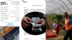 Даҳҳо нафар дар Тоҷикистон мегӯянд, ки бо ваъдаи дарёфти кор фиреб хурдаанд.